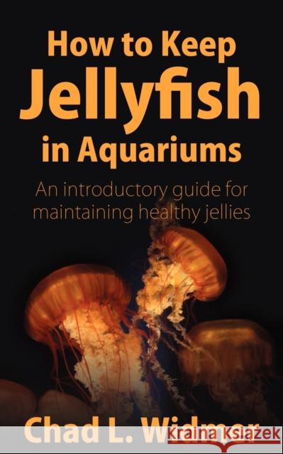 How to Keep Jellyfish in Aquariums: An Introductory Guide for Maintaining Healthy Jellies