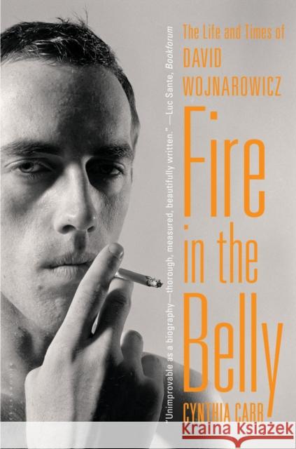 Fire in the Belly: The Life and Times of David Wojnarowicz