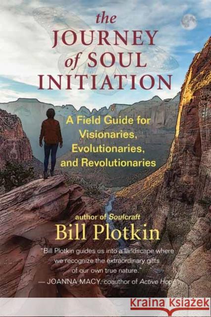 The Journey of Soul Initiation: A Field Guide for Visionaries, Revolutionaries, and Evolutionaries