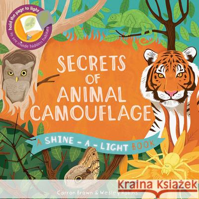 Secrets of Animal Camouflage