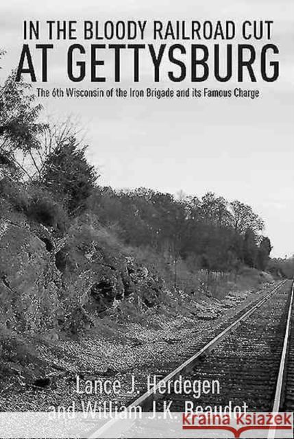 In the Bloody Railroad Cut at Gettysburg: The 6th Wisconsin of the Iron Brigade and Its Famous Charge