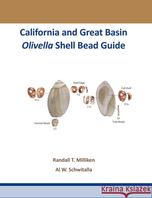 California and Great Basin Olivella Shell Bead Guide