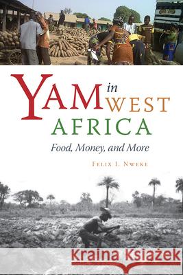 Yam in West Africa: Food, Money, and More