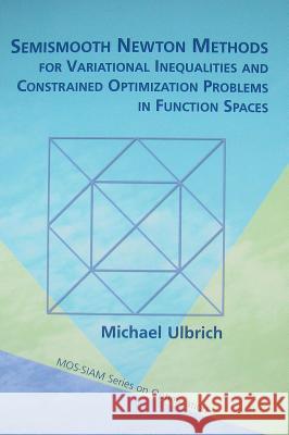 Semismooth Newton Methods for Variational Inequalities and Constrained Optimization Problems in Function Spaces