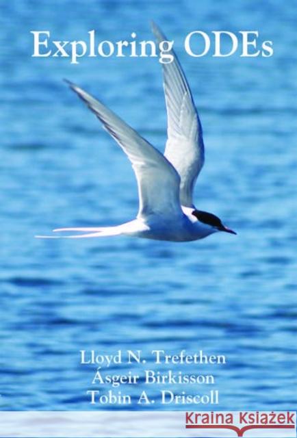 Exploring ODEs