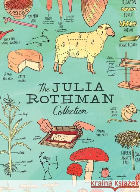 The Julia Rothman Collection: Farm Anatomy, Nature Anatomy, and Food Anatomy