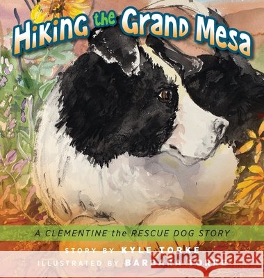 Hiking the Grand Mesa: A Clementine the Rescue Dog Story