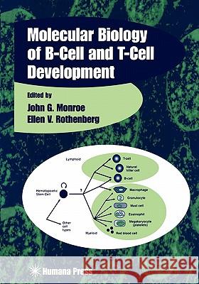 Molecular Biology of B-Cell and T-Cell Development