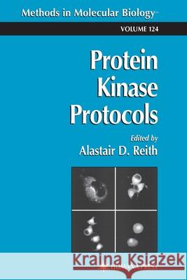 Protein Kinase Protocols