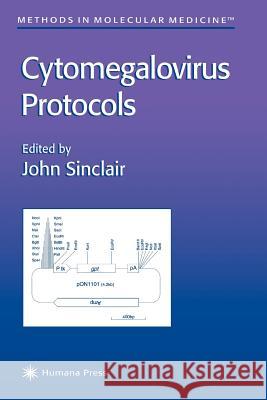Cytomegalovirus Protocols