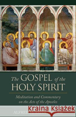 The Gospel of the Holy Spirit: Meditations and Commentary on the Acts of the Apostles