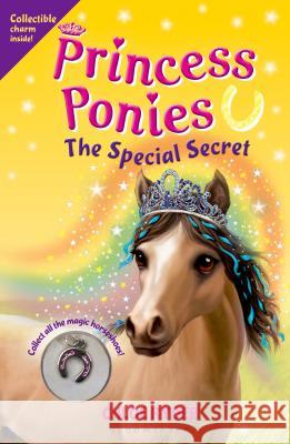 Princess Ponies 3: The Special Secret