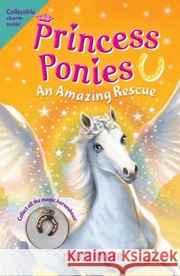 Princess Ponies 5: An Amazing Rescue
