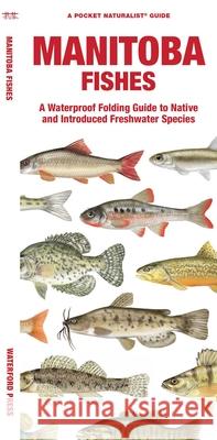Manitoba Fishes: A Waterproof Folding Guide to Native and Introduced Species
