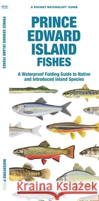 Prince Edward Island Fishes: A Waterproof Folding Guide to Native and Introduced Species
