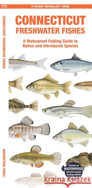 Connecticut Freshwater Fishes