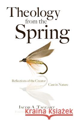 Theology from the Spring: Reflections of the Creator Cast in Nature