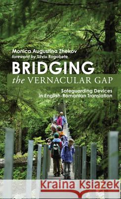 Bridging the Vernacular Gap: Safeguarding Devices in English-Romanian Translation