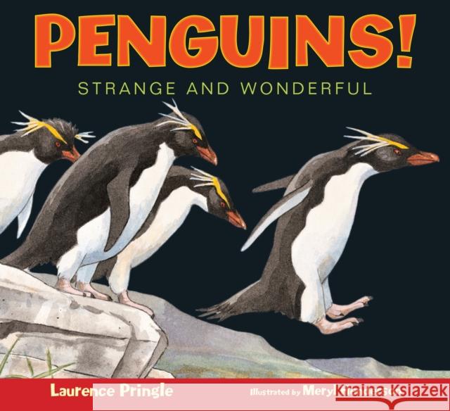 Penguins!