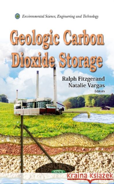 Geologic Carbon Dioxide Storage