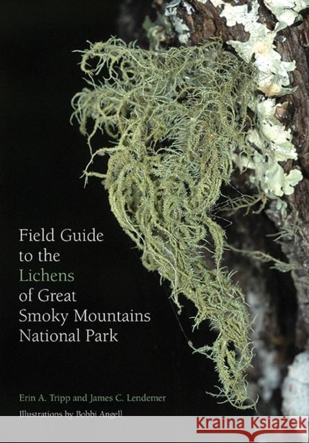 Field Guide to the Lichens of Great Smoky Mountains National Park