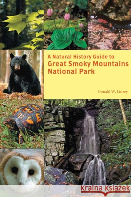 A Natural History Guide to Great Smoky Mountains National Park