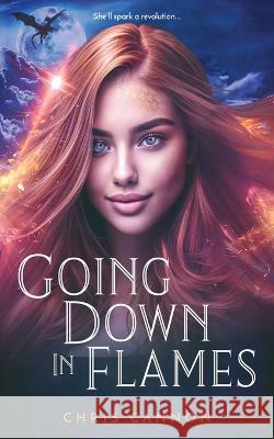 Going Down in Flames