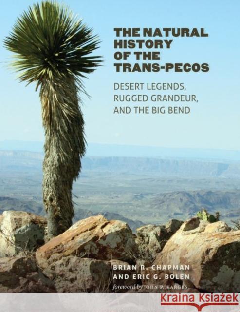 The Natural History of the Trans-Pecos: Desert Legends, Rugged Grandeur, and the Big Bend