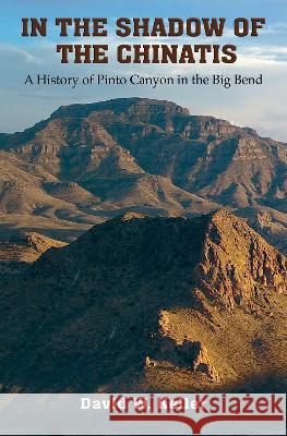 In the Shadow of the Chinatis: A History of Pinto Canyon in the Big Bend