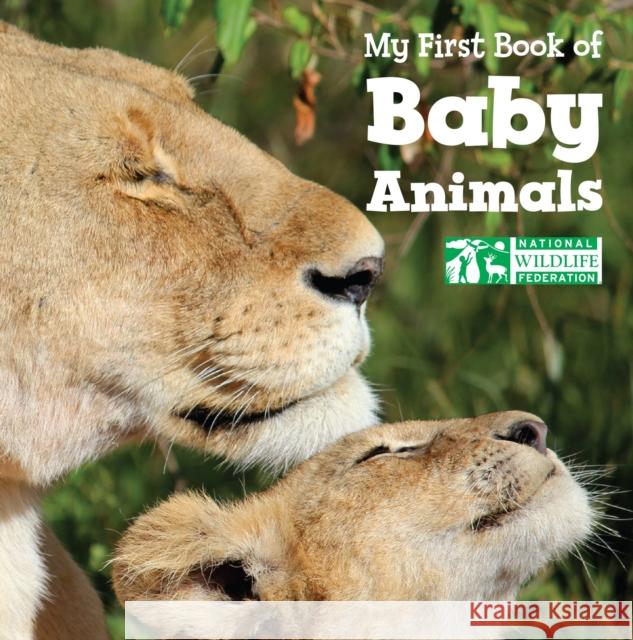 My First Book of Baby Animals (National Wildlife Federation)