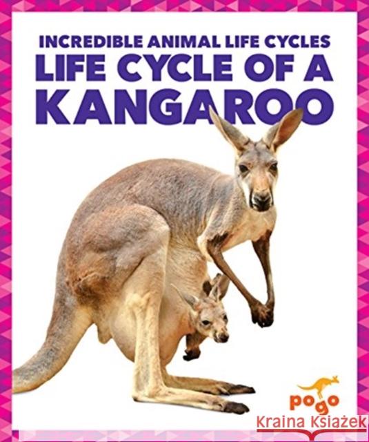 Life Cycle of a Kangaroo
