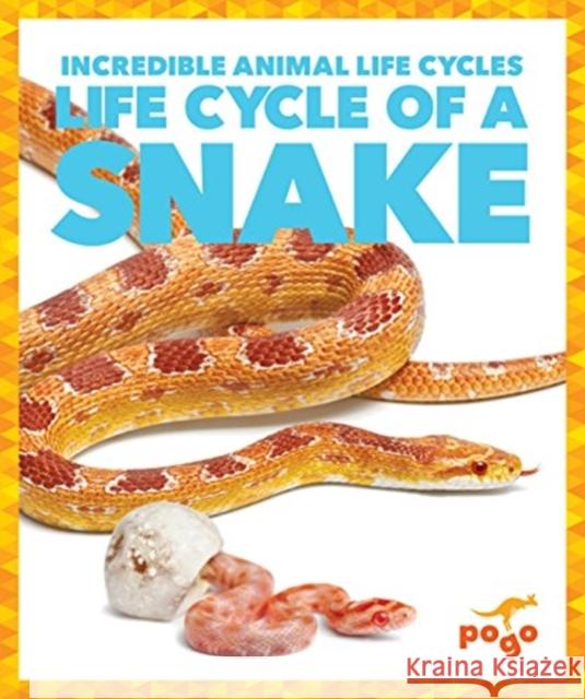 Life Cycle of a Snake