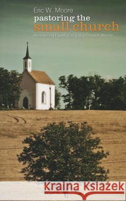 Pastoring the Small Church: Remaining Faithful in a Big Church World