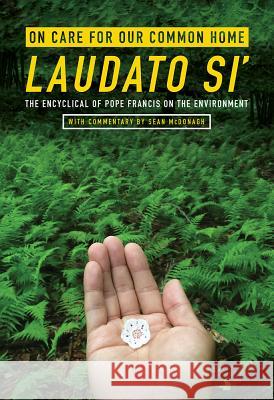 On Care for Our Common Home, Laudato Si': The Encyclical of Pope Francis on the Environment with Commentary by Sean McDonagh