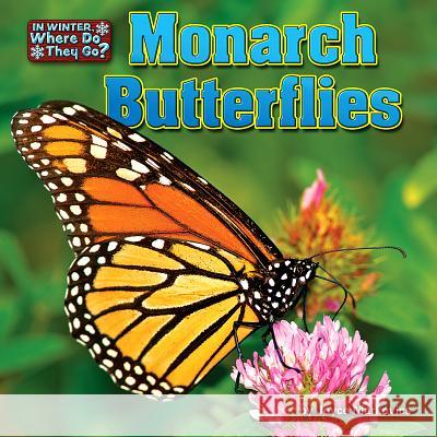 Monarch Butterflies