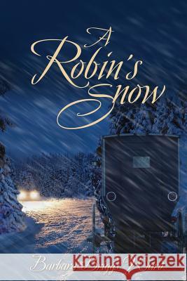 A Robin's Snow