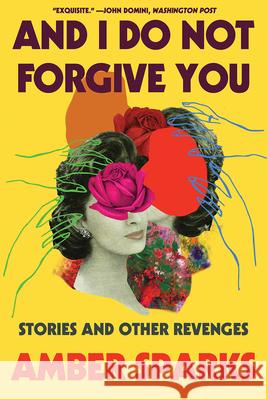 And I Do Not Forgive You: Stories and Other Revenges