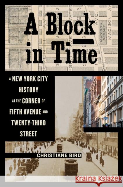 A Block in Time: A New York City History at the Corner of Fifth Avenue and Twenty-Third Street