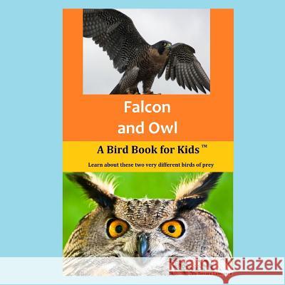 Falcon and Owl: A Bird Book for Kids