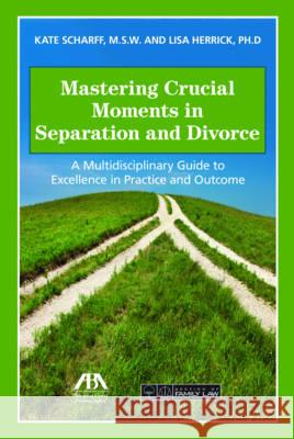 Mastering Crucial Moments in Separation and Divorce: A Multidisciplinary Guide to Excellence in Practice and Outcome