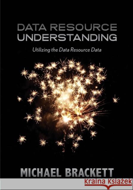 Data Resource Understanding: Utilizing the Data Resource Data