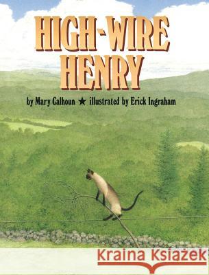 High-Wire Henry