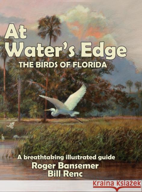 At Water's Edge: The Birds of Florida