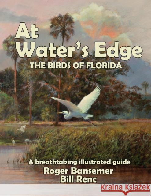 At Water's Edge: The Birds of Florida