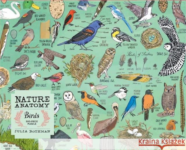 Nature Anatomy: Birds Puzzle (500 pieces)