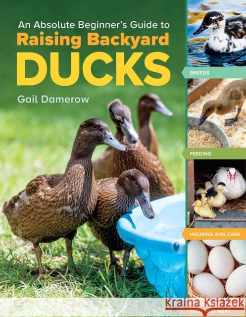 An Absolute Beginner's Guide to Raising Backyard Ducks: Breeds, Feeding, Housing and Care, Eggs and Meat