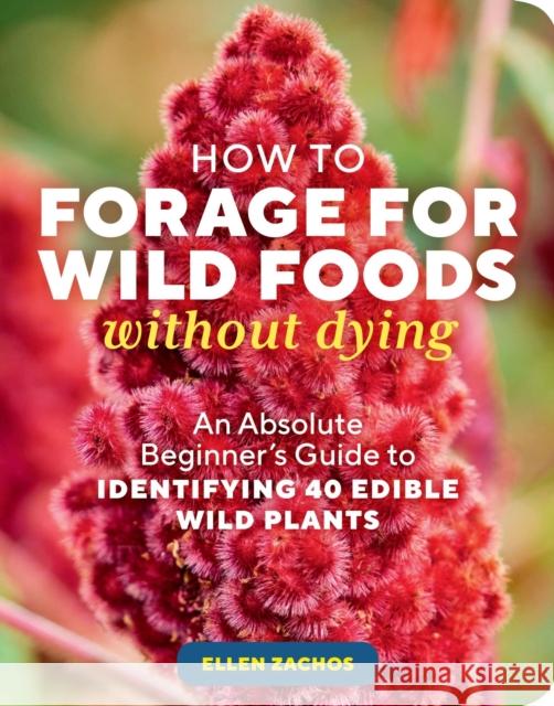 How to Forage for Wild Foods without Dying: An Absolute Beginner's Guide to Identifying 40 Edible Wild Plants