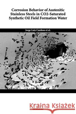 Corrosion Behavior of Austenitic Stainless Steels in CO2-Saturated Synthetic Oil Field Formation Water