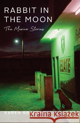 Rabbit in the Moon: The Mexico Stories