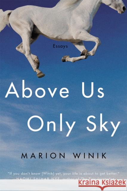 Above Us Only Sky: Essays